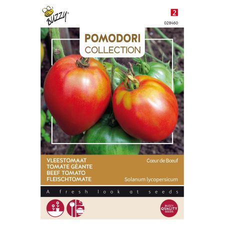 Buzzy Pomodori, Tomate Cœur de Bœuf - Buzzy Pomodori, Vleestomaat Cœur de Bœuf