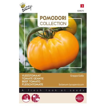Buzzy Pomodori, Tomate Géante Grappa Gialla - Buzzy Pomodori, Vleestomaat Grappa Gialla