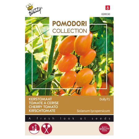 Buzzy Pomodori, Tomate a Cerise Dolly F1 - Buzzy Pomodori, Kerstomaat Dolly F1