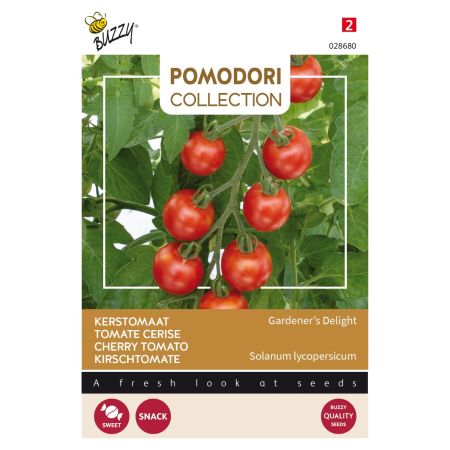 Buzzy Pomodori, Tomate Gardeners Delight (Cherry) - Buzzy Pomodori, Kerstomaat Gardeners Delight (Cherry)