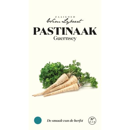 Pastinaak Guernsey - Wim Lybaert Zaaigoed
