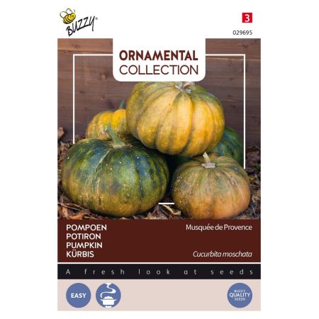 Buzzy Ornamental Calebasse Musquée de Provence - Buzzy Ornamental Courgette Musque De Provence