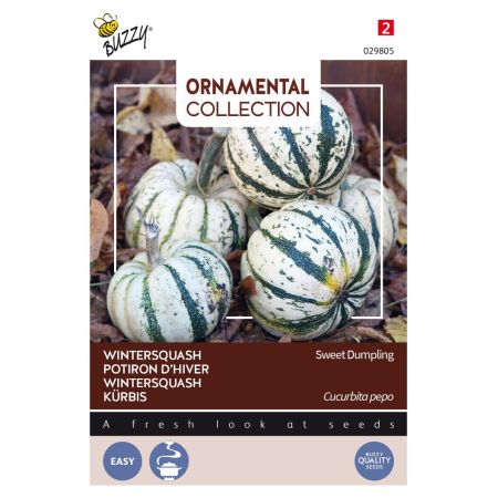 Buzzy Ornamental Potiron d'Hiver Sweet Dumpling - Buzzy Ornamental Wintersquash Sweet Dumpling