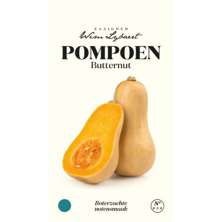 Pompoen Butternut - Wim Lybaert Zaaigoed