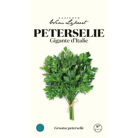 Peterselie Gigante D'Italie - Wim Lybaert Zaaigoed