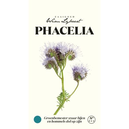 Phacelia - Wim Lybaert Zaaigoed