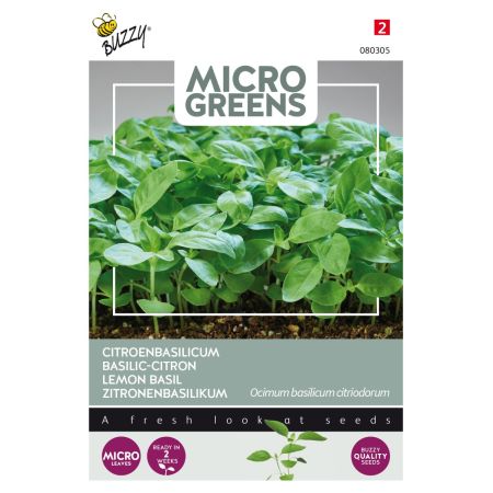 Buzzy Microgreens, Basilic-Citron - Buzzy Microgreens, Citroenbasilicum