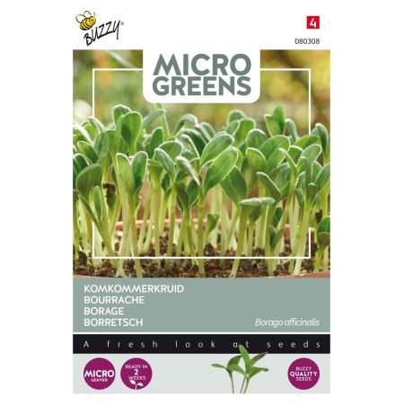 Buzzy Microgreens, Bourrache - Buzzy Microgreens, Borage (komkommerkruid)
