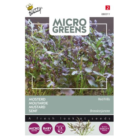 Buzzy Microgreens, Moutarde Red Frills - Buzzy Microgreens, Mosterd Red Frills