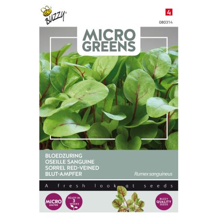 Buzzy Microgreens, Oseille sanguine - Buzzy Microgreens, Bloedzuring