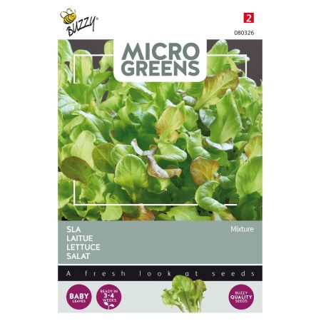 Buzzy Microgreens, laitue mélangée - Buzzy Microgreens, Sla gemengd