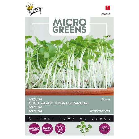 Buzzy Microgreens, Mizuna à feuille - Buzzy Microgreens, Mizuna Green