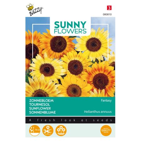 Buzzy Sunny Flowers, Tournesol Fantasy - Buzzy Sunny Flowers, Zonnebloem Fantasy