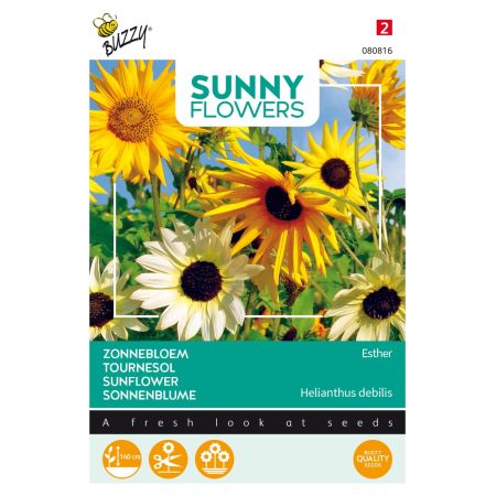 Buzzy Sunny Flowers, Tournesol Esther - Buzzy Sunny Flowers, Zonnebloem Esther