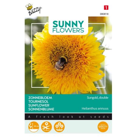 Buzzy Sunny Flowers, Tournesol nain Sungold double - Buzzy Sunny Flowers, lage Zonnebloem Sungold dubbelbloemig