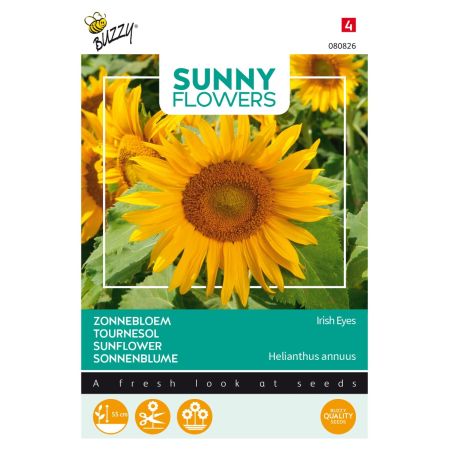Buzzy Sunny Flowers, Tournesol Irish Eyes - Buzzy Sunny Flowers, Zonnebloem Irish Eyes