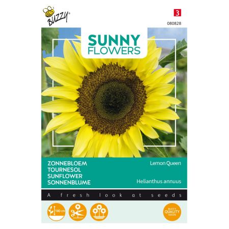 Buzzy Sunny Flowers, Tournesol Lemon Queen - Buzzy Sunny Flowers, Zonnebloem Lemon Queen