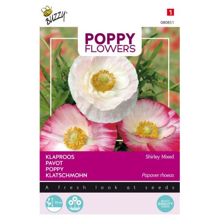 Buzzy Poppy Flowers Coquelicot en Mélange - Buzzy Poppy Flowers, Klaproos Gemengd