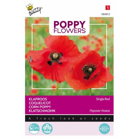 Buzzy Poppy Flowers, Coquelicot Simple rouge - Buzzy Poppy Flowers, Klaproos Rhoeas Rood