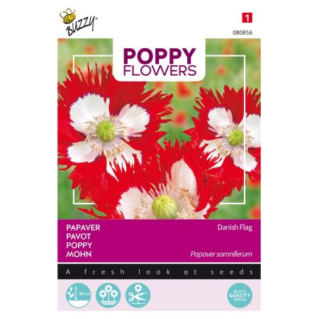 Buzzy Poppy Flowers Pavot Drapeau Danois - Buzzy Poppy Flowers, Papaver Deense Vlag
