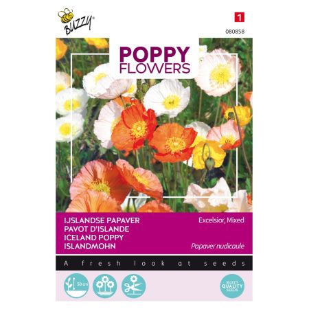 Buzzy Poppy Flowers Pavot d'Islande - Buzzy Poppy Flowers, IJslandse papaver