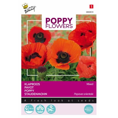 Buzzy Poppy Flowers Pavot d'Orient varié - Buzzy Poppy Flowers, Oosterse klaproos gemengd