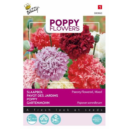 Buzzy Poppy Flowers Paeoniflorum Dbl Var. - Buzzy Poppy Flowers, Slaapbol Pioenbloemige papaver