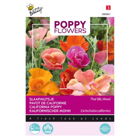 Buzzy Poppy Flowers, Pavot de Californie Thai Silk - Buzzy Poppy Flowers, Papaver Thai Silk