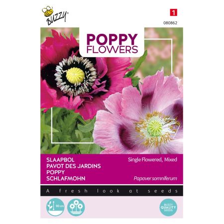 Buzzy Poppy Flowers Coquelicot Pavot Somnifère - Buzzy Poppy Flowers, Papaver slaapbol