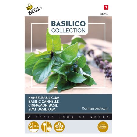 Buzzy Basilic Canelle - Buzzy Kaneelbasilicum
