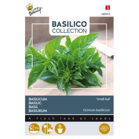 Buzzy Basilic Small-leaf - Buzzy Basilicum Small-leaf