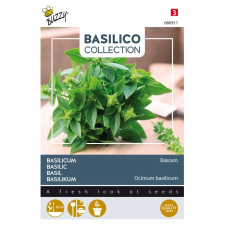 Buzzy Basilic Bascuro - Buzzy Basilicum Bascuro