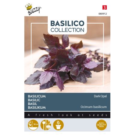 Buzzy Basilic Dark Opal - Buzzy Basilicum Dark Opal