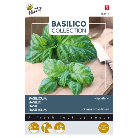 Buzzy Basilic Napolitano - Buzzy Basilicum Napolitano