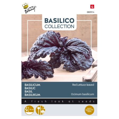 Buzzy Basilic Red Lettuce-leaved - Buzzy Basilicum Rode slabladige