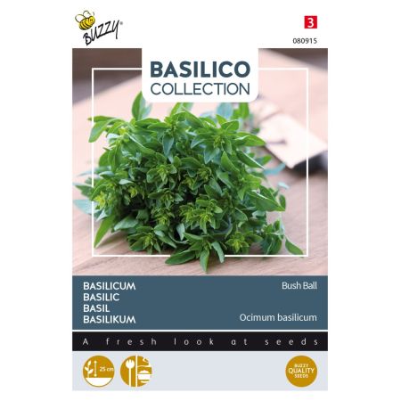 Buzzy Basilic Grec compact, très fin - Buzzy Basilicum Greek Basil Bush Ball