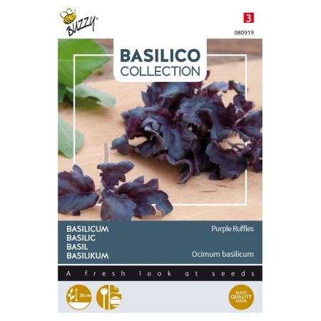 Buzzy Basilic Purple Ruffles - Buzzy Basilicum Purple Ruffles