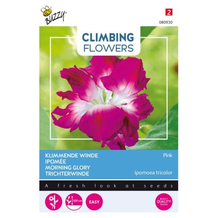 Buzzy Climbing Flowers, Ipomoea double rose - Buzzy Climbing Flowers, Ipomoea Dubbel Rose