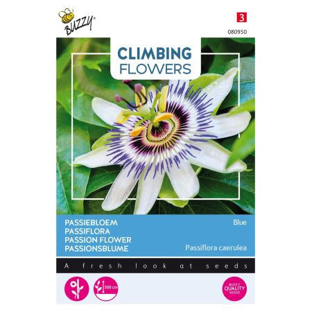 Buzzy Climbing Flowers, Passiflora Bleu - Buzzy Climbing Flowers, Passiebloem Blauw