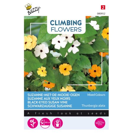 Buzzy Climbing Flowers, Thunbergia mélange - Buzzy Climbing Flowers Thunbergia, Suzanne-met-mooie-ogen