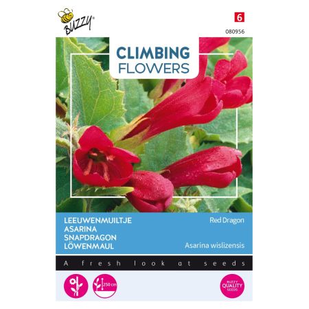 Buzzy Climbing Flowers, Asarina Red Dragon - Buzzy Climbing Flowers, Asarina, Leeuwenmuiltje Red Dragon
