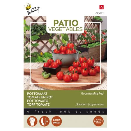 Buzzy Patio Veggies, Tomate en pot Gourmandise Red - Buzzy Patio Veggies, Tomaat Gourmandise Red