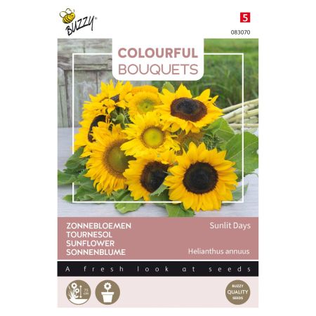 Buzzy Colourful Bouquets, Sunlit Days, Tournesol - Buzzy Colourful Bouquets, Sunlit Days, zonnebloem