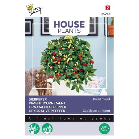 Buzzy House Plants poivre ornemental, dwarf mixture - Buzzy House Plants Sierpeper, Dwarf mixed