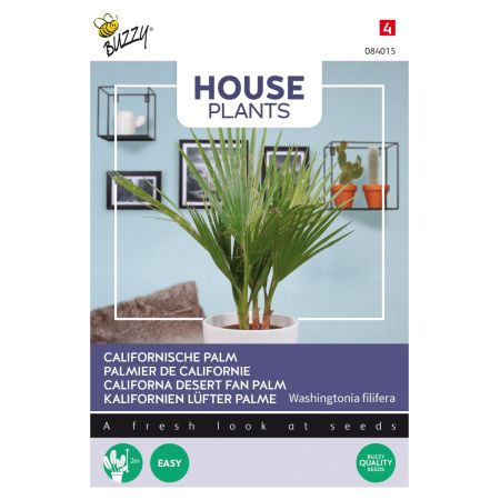 Buzzy House Plants Californian palm - Buzzy House Plants Californische palm