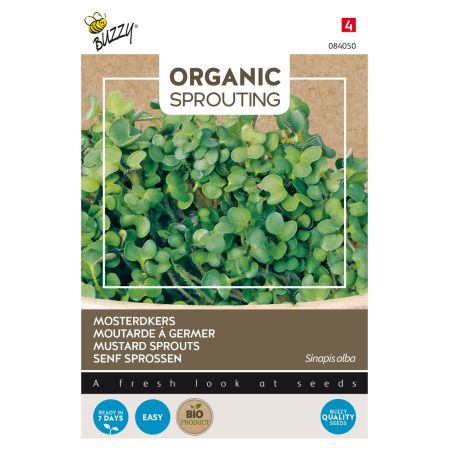 Buzzy Organic Sprouting de Moutarde (BIO) - Buzzy Organic Sprouting Mosterdkers  (BIO)