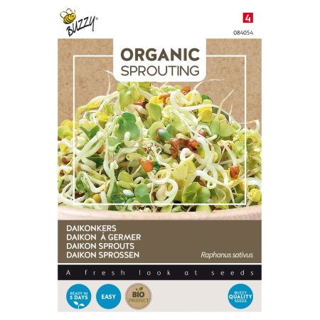 Buzzy Organic Sprouting Radis japonais, Daikon (BIO) - Buzzy Organic Sprouting Daikonkers  (BIO)