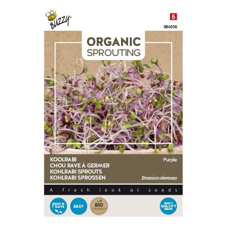 Buzzy Organic Sprouting Chou rave violet (BIO) - Buzzy Organic Sprouting Koolrabi blauwpaars (BIO)