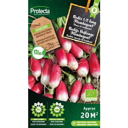 Radis 1/2 long Flamboyant Bio - Protecta Graines paysanne