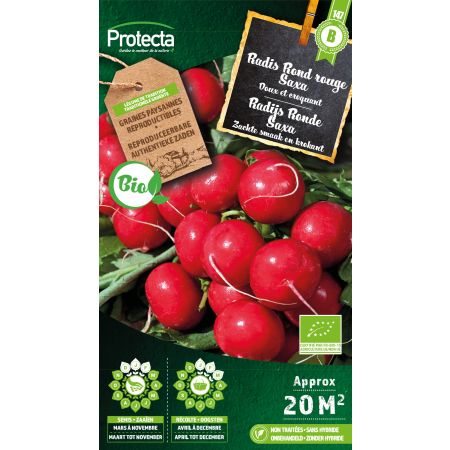 Radis Rond rouge Saxa Bio - Protecta Graines paysanne
